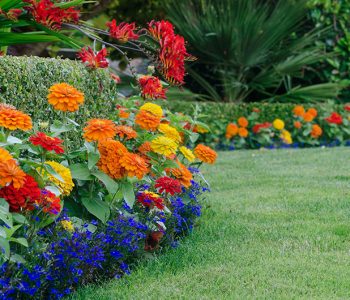 how to plan a landscaped front yard