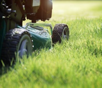 what are the benefits of hiring a lawn maintenance company