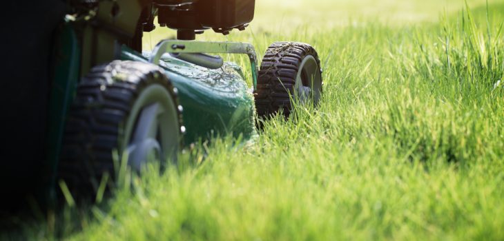 what are the benefits of hiring a lawn maintenance company