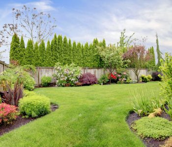 designing a landscaped backyard that wows