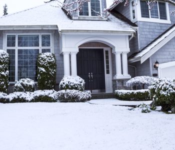 how to give your landscaping some life in winter