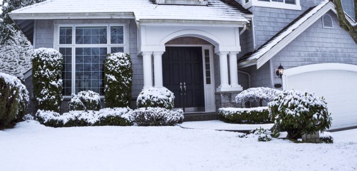 how to give your landscaping some life in winter