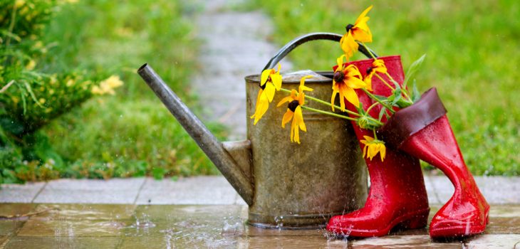 a quick guide to outdoor water conservation