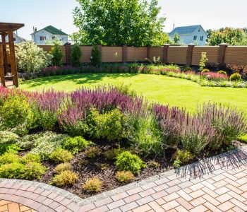 5 Questions to Ask When Planning Your Outdoor Landscape Design