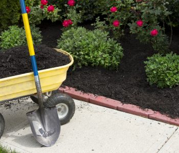 the benefits of using mulch in your garden