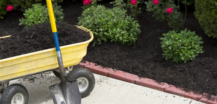 the benefits of using mulch in your garden