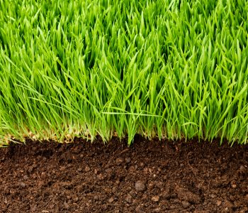 guide to topdressing you lawn