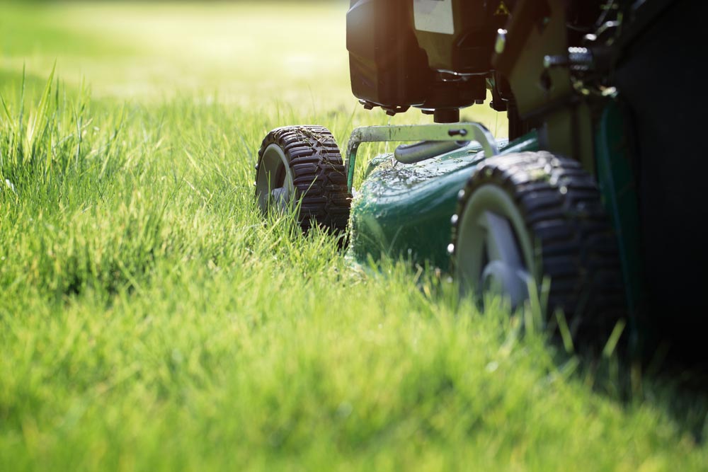 Lawn Care Mowing Services Ottawa, Landscape Maintenance Definition