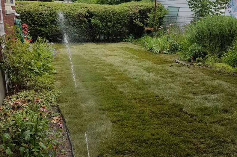 new sod backyard being watered