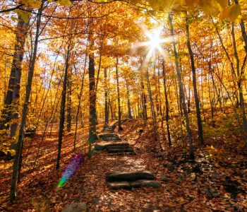 5 Best Spots Near Ottawa to See the Leaves Change