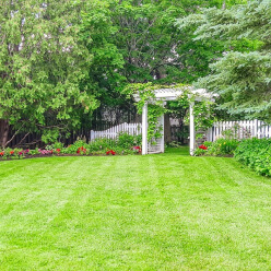 backyard with an archway